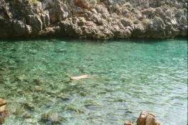 participants flaoting in the water at a freediving course 