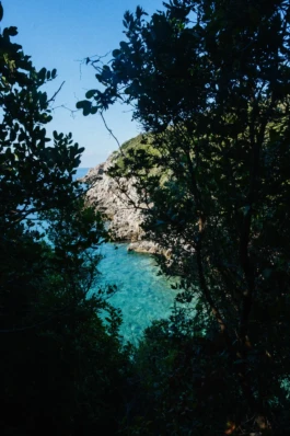 view of the sea in montenegro looking through the trees 