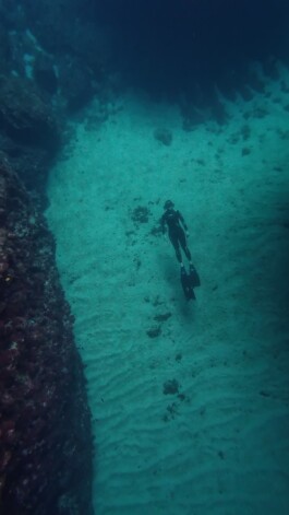 freediving along the sandy bottom in croatia